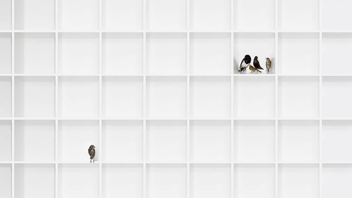 Read more about the article How to Make Sure a New Hire Feels Included from Day One